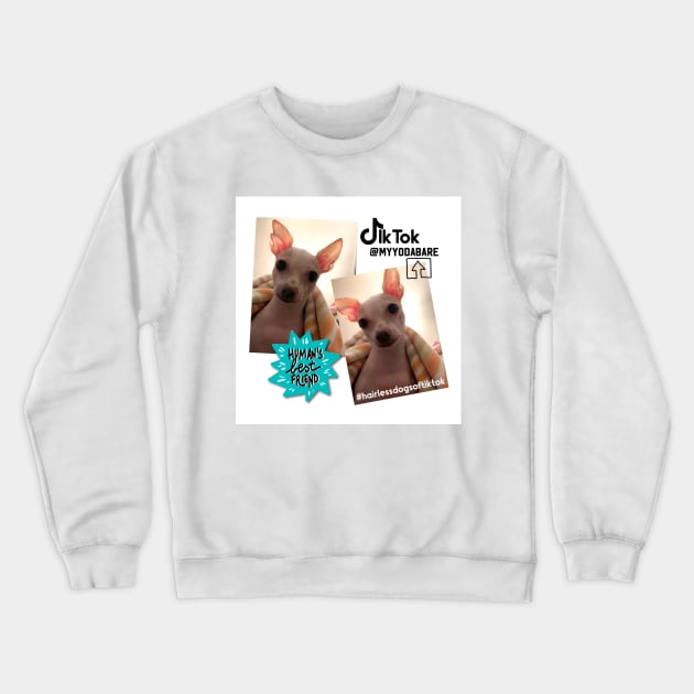 Yoda, the bare pup! Crewneck Sweatshirt by My Yoda Bare